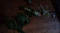 好吃的韭菜炒鸭蛋做法图解2)
