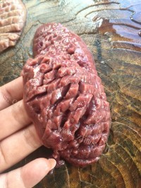 爆炒杜仲腰花做法图解3)