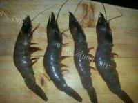 味道不错的红烧大虾做法图解1)
