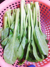 好味的清炒菜心做法图解1)