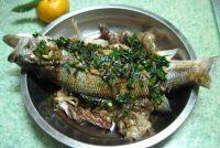 「美味可口」清蒸鲈鱼