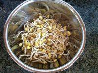 家常菜清炒黄豆芽做法图解2)