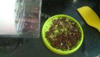 手工美食卡通娃娃饼做法图解2)