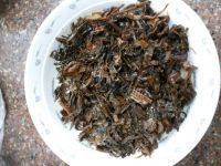 家常菜梅干菜扣肉做法图解12)