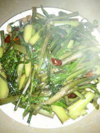 家常菜清炒红油菜