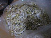 「念念不忘」清炒绿豆芽做法图解1)