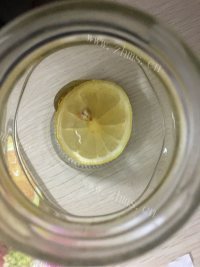 我的蜂蜜柠檬茶做法图解4)