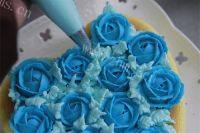 蓝色妖姬芝士蛋糕的做法图解十五