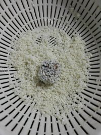 美味的珍珠丸子做法图解11)