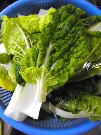 自制奶白菜鸡肉汤做法图解2)