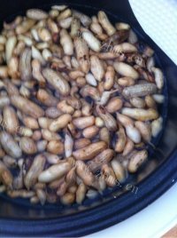 美味的水煮花生做法图解1)