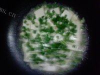 美美厨房之小葱拌豆腐做法图解6)
