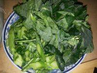 简易芥蓝牛肉炒河粉做法图解2)