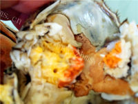 美味醉香大闸蟹做法图解12)