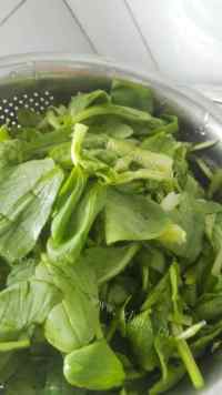 鲜美菜秧豆皮汤做法图解1)