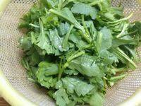 清炒茼蒿菜做法图解2)