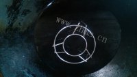 美味的香菇蒸鹌鹑蛋做法图解8)
