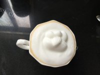 卡布奇诺做法图解6)