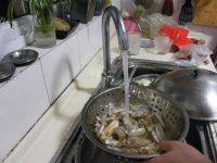 炒蛏子做法图解8)
