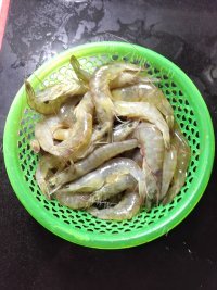 美味的蒜蓉虾做法图解1)