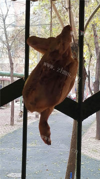 客家咸鸡做法图解8)