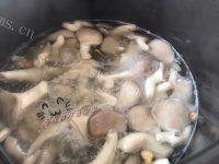 平菇鸡蛋汤做法图解3)