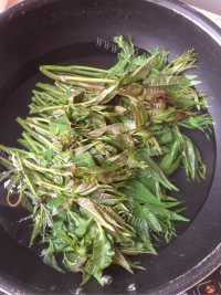 自制腌香椿做法图解3)