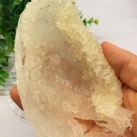 香气浓郁的冰糖燕窝做法图解3)