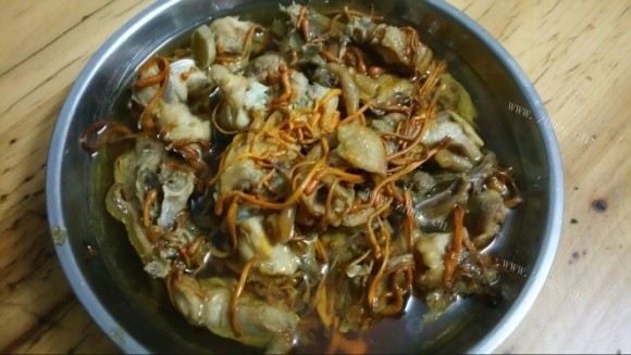 唇齿留香的虫草花蒸鸡