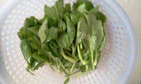 家常菜蒜蓉炒油菜做法图解1)