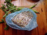 家常菜芹菜炒豆芽做法图解1)