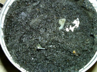 自制玫瑰黑芝麻汤圆馅做法图解8)