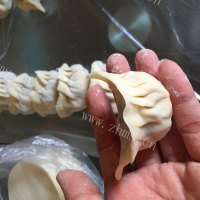 美味的生煎饺子做法图解6)