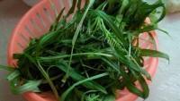 家常菜蒜蓉通心菜做法图解2)
