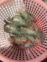 美味的盐焗大虾做法图解1)
