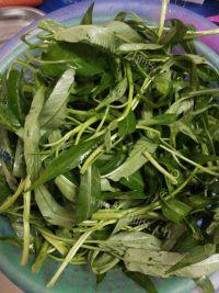 家常菜蒜蓉通心菜做法图解3)
