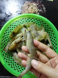 美味的蒜蓉虾做法图解3)