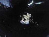 质嫩的清炒油菜做法图解3)