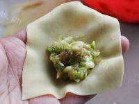 陶醉其中的菜肉大馄饨做法图解13)