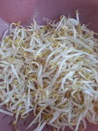 色味俱全的清炒豆芽做法图解1)