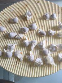 自己做的馄饨做法图解4)