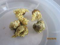 清热解毒的菊花茶做法图解1)