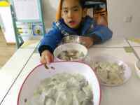 喷香的韭菜猪肉饺子做法图解5)