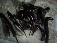好吃的茄子干做法图解1)