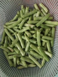 珍馐美味的干煸四季豆做法图解1)
