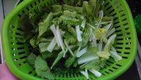家常菜蒜蓉奶白菜做法图解1)