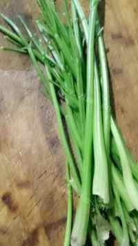 家常菜芹菜炒鸡蛋做法图解1)