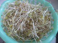 家常菜炒绿豆芽做法图解2)