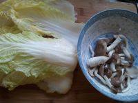 家常菜白菜炒平菇做法图解1)