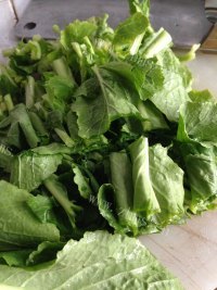 美味蒜香青菜苔做法图解4)
